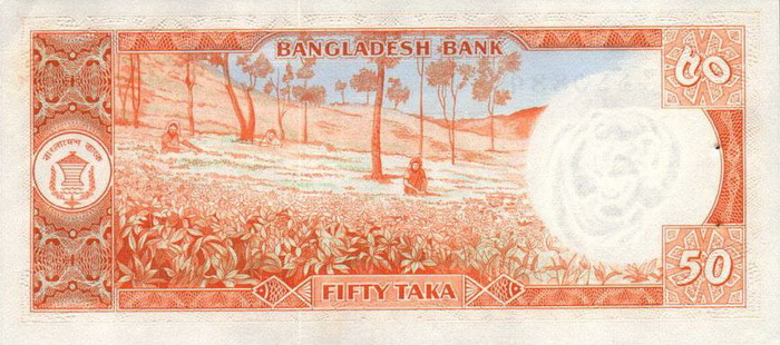 Обратная сторона банкноты Бангладеша номиналом 50 Така