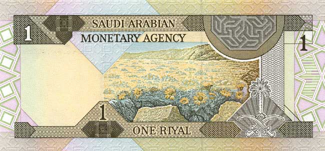 Обратная сторона банкноты Саудовской Аравии номиналом 1 Риял
