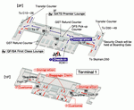 Схема терминалов авиакомпании JAL аэропорта Сингапура